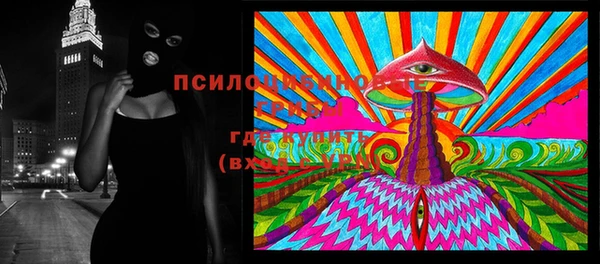 гидропоника Алзамай