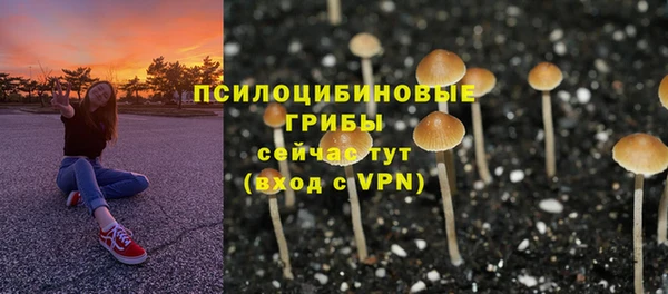 гидропоника Алзамай