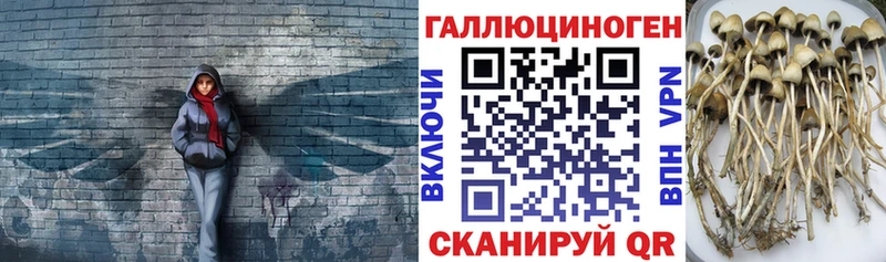 Галлюциногенные грибы Magic Shrooms  Боровичи 